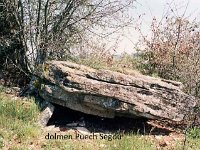 dolmen Puech Segou(sud Aveyron)  Ce qui méritent d'être visité : Dolmens
