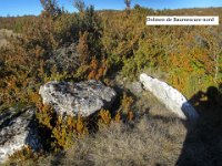 dolmen de Baumescure nord