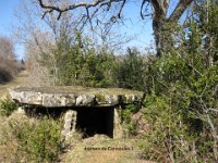 dolmen de Concoules 1