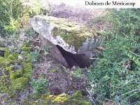 dolmen de Méricamp