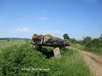 dolmen de Pérignagols(Salles la Source)