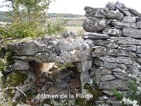 dolmen de la Plaine (Saint André de V)