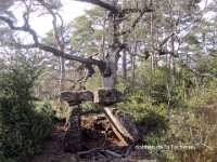 dolmen de la Tacherie
