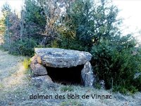 dolmen des bois de Vinnac