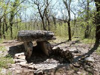 dolmen du Bois de Galtier(Martiel 12)