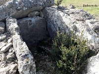 dolmen du Capelier