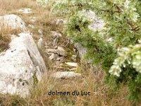 dolmen du Luc