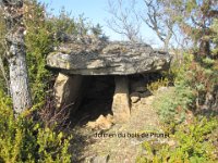 dolmen du bois de Prunet