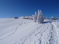 DSC05516