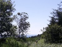 20180630 113749