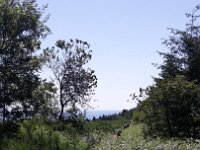 terre inconnueI